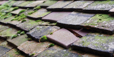 Plashett roof repair costs